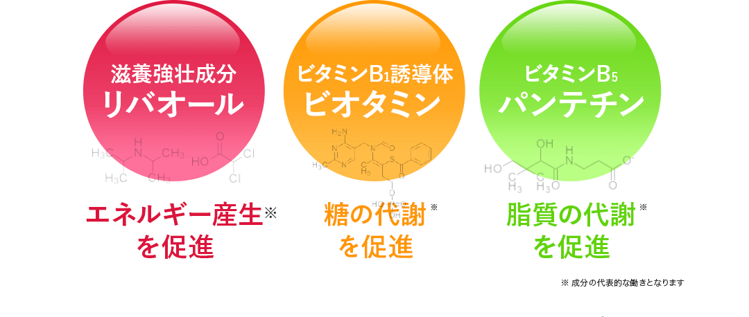 滋養強壮成分リバオール／エネルギー産生※を促進 ビタミンB1誘導体ビオタミン／糖の代謝※を促進 ビタミンB5パンテチン／脂質の代謝※を促進 ※成分の代表的な働きとなります