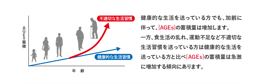 AGEs蓄積　年齢　不適切な生活習慣　健康的な生活習慣　健康的な生活を送っている方でも、加齢に伴って、[AGEs]の蓄積量は増加します。一方、食生活の乱れ、運動不足など不適切な生活習慣を送っている方は健康的な生活を送っている方と比べ[AGEs]の蓄積量は急激に増加する傾向にあります。