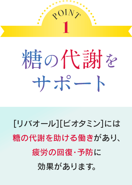 POINT1 糖の代謝をサポート [リバオール][ビオタミン]には糖の代謝を助ける働きがあり、疲労の回復・予防に効果があります。