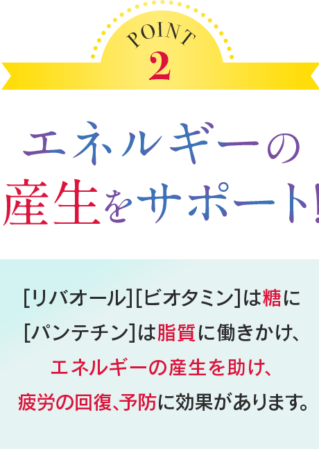POINT2 エネルギーの産生をサポート [リバオール][ビオタミン]は糖に [パンテチン]は脂質に働きかけ、エネルギーのの産生を助け、疲労の回復、予防に効果があります。