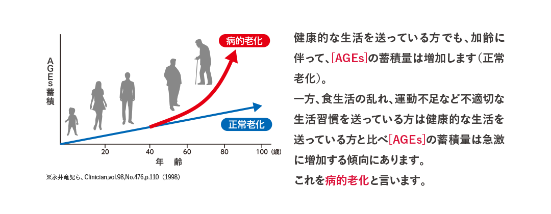 健康的な生活を送っている方でも、加齢に伴って、[AGEs]の蓄積量は増加します（正常老化）。一方、食生活の乱れ、運動不足など不適切な生活習慣を送っている方は健康的な生活を送っている方と比べ[AGEs]の蓄積量は急激に増加する傾向にあります。これを病的老化と言います。