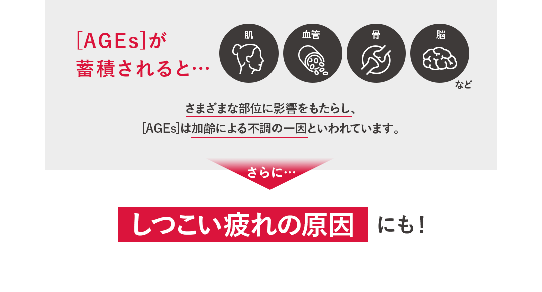 [AGEs]が蓄積されると…  さまざまな部位に影響をもたらし、 [AGEs]は加齢による不調の一因といわれています。 さらに… しつこい疲れの原因にも！