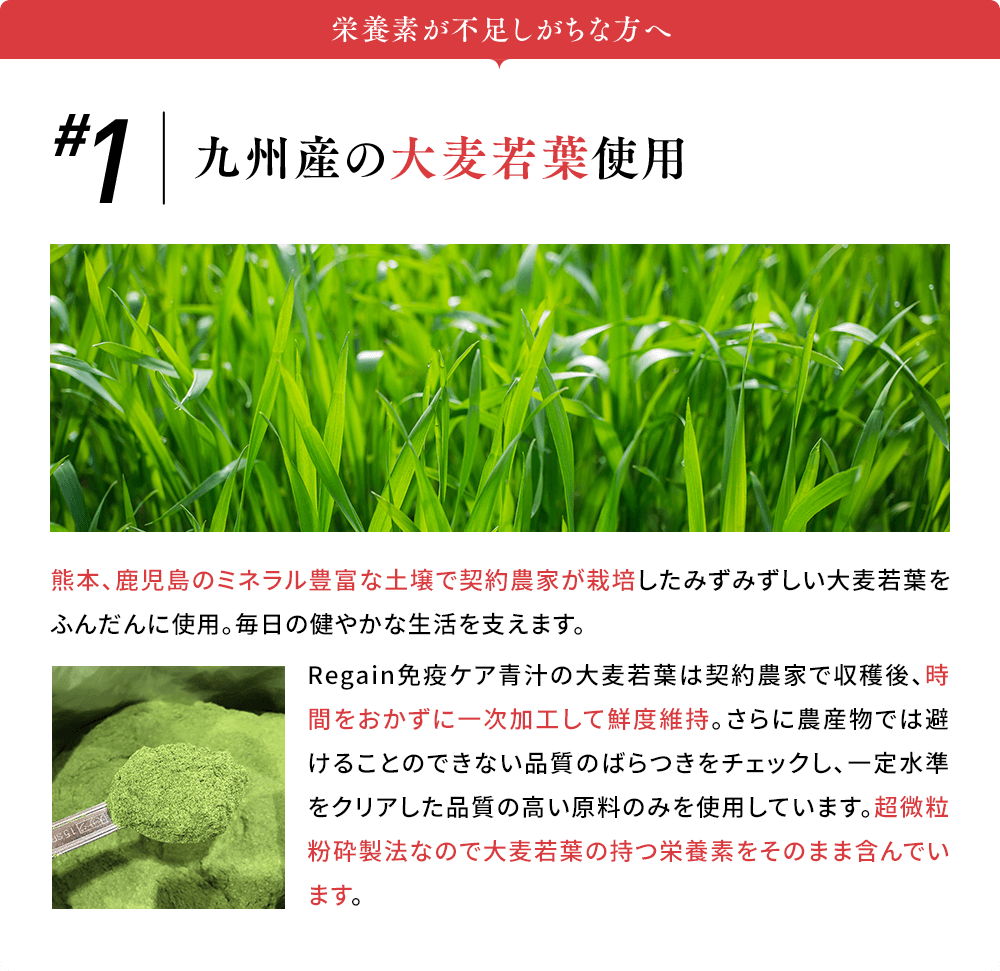 栄養素が不足しがちな方へ #1九州産の 大麦若葉使用 熊本、鹿児島のミネラル豊富な土壌で契約農家が栽培したみずみずしい大麦若葉をふんだんに使用。毎日の健やかな生活を支えます。Regain免疫ケア青汁の大麦若葉は契約農家で収穫後、時間をおかずに一次加工して鮮度維持。さらに農産物では避けることのできない品質のばらつきをチェックし、一定水準をクリアした品質の高い原料のみを使用しています。超微粒粉砕製法なので大麦若葉の持つ栄養素をそのまま含んでいます。