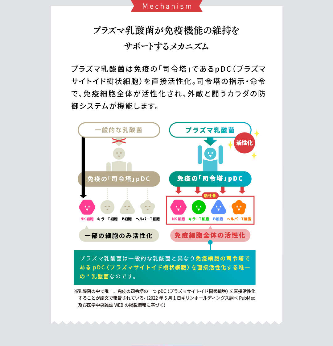 Mechanism プラズマ乳酸菌が免疫機能の維持をサポートするメカニズム プラズマ乳酸菌は免疫の「司令塔」であるpDC（プラズマサイトイド樹状細胞）を直接活性化。司令塔の指示・命令で、免疫細胞全体が活性化され、外敵と闘うカラダの防御システムが機能します。一般的な乳酸菌の図/プラズマ乳酸菌の図 プラズマ乳酸菌は一般的な乳酸菌とは異なり免疫細胞の司令塔である pDC(プラズマサイトイ樹状細胞)を直接活性化する唯一の乳酸菌なのです。※乳酸菌の中で唯一、免疫の司令塔の一つpDC(プラズマサイトイド樹状細胞)を直接活性化することが論文で報告されている。(2022年5月1日キリンホールディングス調べPubMed及び医学中央雑誌WEBの掲載情報に基づく)