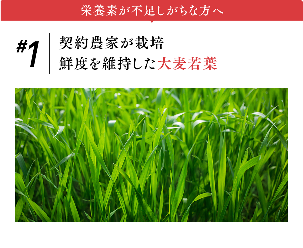 栄養素が不足しがちな方へ #1契約農家が栽培鮮度を維持した大麦若葉