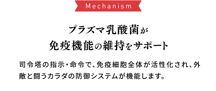 Mechanism プラズマ乳酸菌が免疫機能の維持をサポート 司令塔の司令塔の指示・命令で、免疫細胞全体が活性化され、外敵と闘うカラダの防御システムが機能します。一般的な乳酸菌の図 