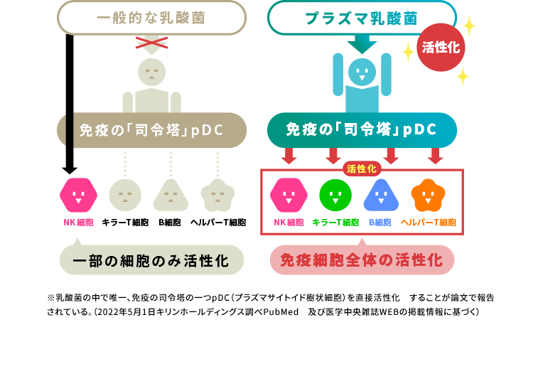 Report プラズマ乳酸菌の図 ※乳酸菌の中で唯一、免疫の司令塔の一つpDC(プラズマサイトイド樹状細胞)を直接活性化することが論文で報告されている。(2022年5月1日キリンホールディングス調べPubMed及び医学中央雑誌WEBの掲載情報に基づく)