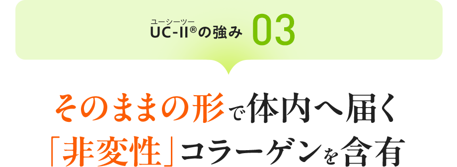 UC-Ⅱ®（ユーシーツー）の強み03：そのままの形で体内へ届く「非変性」コラーゲンを含有