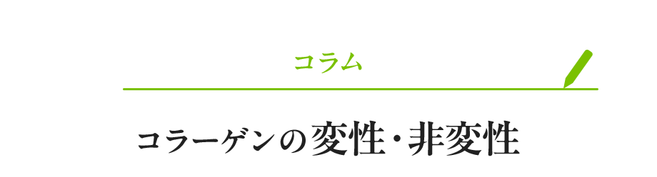 コラム：コラーゲンの変性・非変性