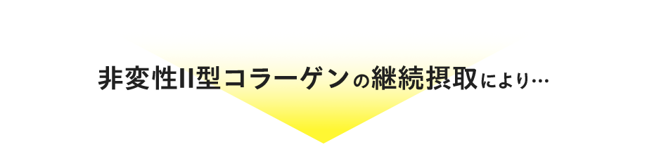 非変性Ⅱ型コラーゲンの継続摂取により…