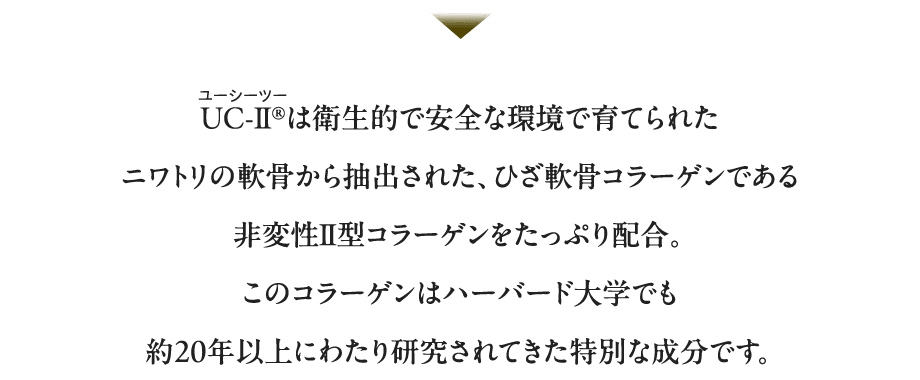 UC-Ⅱ®︎は衛生的で安全な環境で育てられたニワトリの軟骨から抽出された、ひざ軟骨コラーゲンである非変性Ⅱ型コラーゲンをたっぷり配合。このコラーゲンはハーバード大学でも約20年以上にわたり研究されてきた特別な成分です。