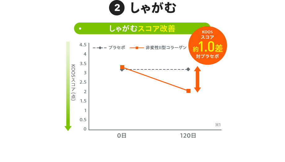 2:しゃがむ 【グラフ:しゃがむスコア改善】KOOSスコア約1.0差 対プラセボ ※1