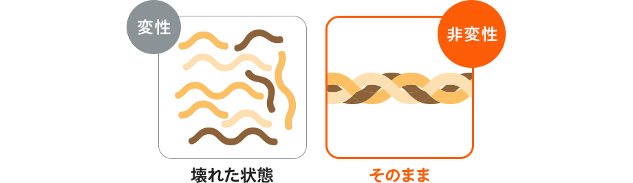 【図】変性:壊れた状態/非変性:そのまま