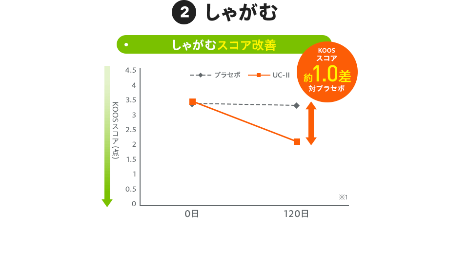 2：しゃがむ 【グラフ：しゃがむスコア改善】KOOSスコア約1.0差 対プラセボ ※1