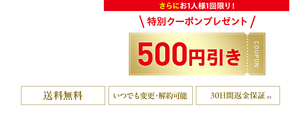 さらにお1人様1回限り！ 特別クーポンプレゼント 500円引き 送料無料 いつでも変更・解約可能 30日間返金保証※1