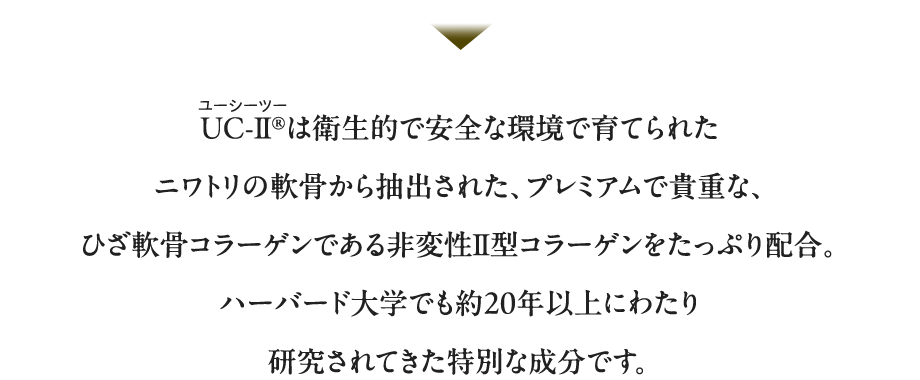 UC-Ⅱ®︎は衛生的で安全な環境で育てられたニワトリの軟骨から抽出された、プレミアムで貴重な、ひざ軟骨コラーゲンである非変性Ⅱ型コラーゲンをたっぷり配合。ハーバード大学でも約20年以上にわたり研究されてきた特別な成分です。