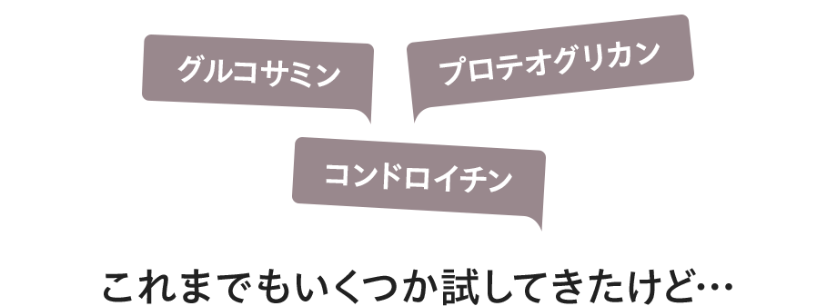 グルコサミン プロテオグリカン コンドロイチン これまでもいくつか試してきたけど…