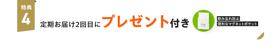 特典4：定期お届け2回目にプレゼント付き 飲み忘れ防止 便利なマグネットポケット