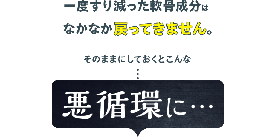 一度すり減った軟骨成分は なかなか戻ってきません。そのままにしておくとこんな悪循環に…