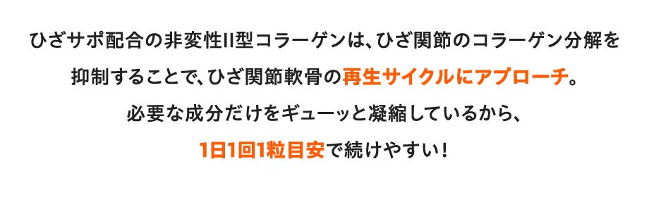 ひざサポ配合の非変性Ⅱ型コラーゲンは、ひざ関節のコラーゲン分解を抑制することで、ひざ関節軟骨の再生サイクルにアプローチ。必要な成分だけをギューッと凝縮しているから、1日1回1粒目安で続けやすい!