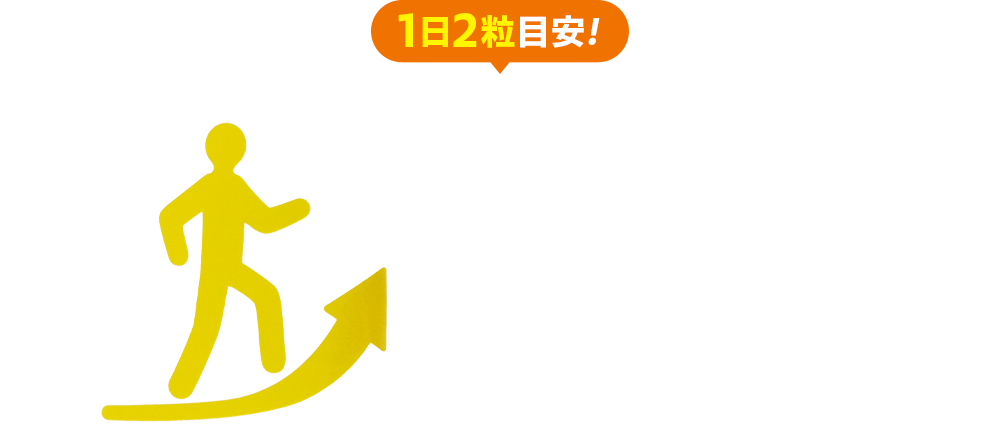 1日2粒目安!