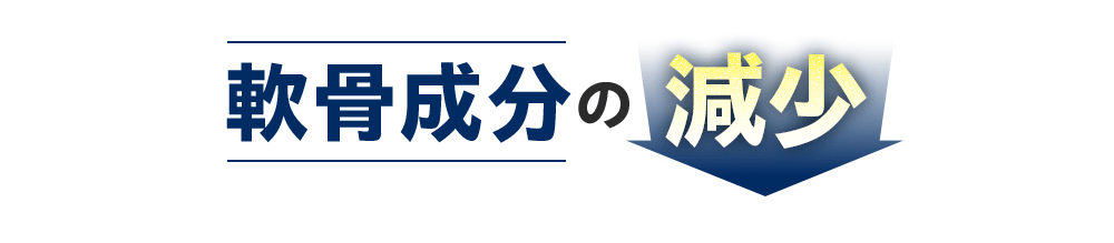 ️軟骨成分の減少