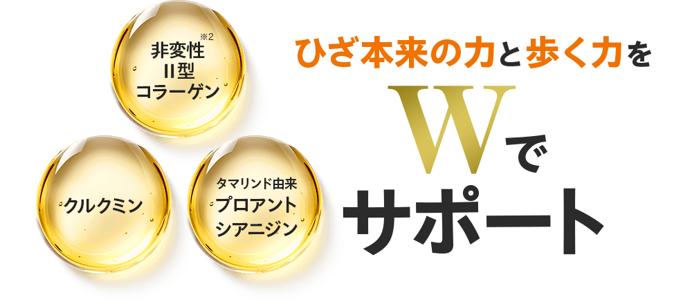 非変性Ⅱ型コラーゲン※2／クルクミン／タマリンド由来プロアントシアニジン ひざ本来の力と歩く力をWでサポート