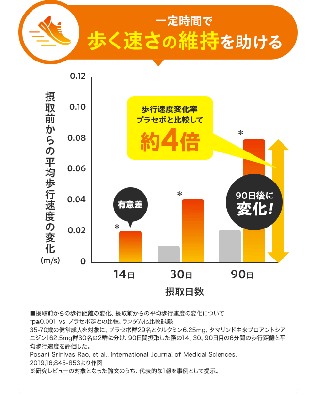 01：一定時間で歩く速さの維持を助ける 【グラフ：歩行速度変化率 プラセボと比較して約4倍 90日後に変化！】 ■摂取前からの歩行距離の変化、摂取前からの平均歩行速度の変化について *p≦0.001 vs プラセボ群との比較、ランダム化比較試験 35-70歳の健常成人を対象に、プラセボ群29名とクルクミン6.25mg、タマリンド由来プロアントシアニジン162.5mg群30名の2群に分け、90日間摂取した際の14、30、90日目の6分間の歩行距離と平均歩行速度を評価した。 Posani Srinivas Rao, et al., International Journal of Medical Sciences,  2019,16;845-853より作図 ※研究レビューの対象となった論文のうち、代表的な1報を事例として提示。