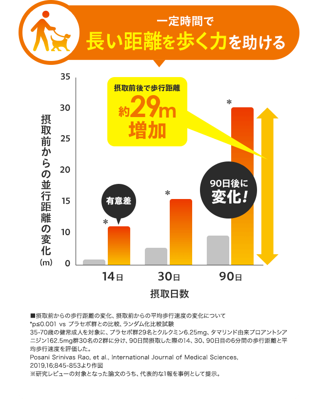 02：一定時間で長い距離を歩く力を助ける 【グラフ：摂取前後で歩行距離 約29m増加 90日後に変化!】 ■摂取前からの歩行距離の変化、摂取前からの平均歩行速度の変化について *p≦0.001 vs プラセボ群との比較、ランダム化比較試験 35-70歳の健常成人を対象に、プラセボ群29名とクルクミン6.25mg、タマリンド由来プロアントシアニジン162.5mg群30名の2群に分け、90日間摂取した際の14、30、90日目の6分間の歩行距離と平均歩行速度を評価した。 Posani Srinivas Rao, et al., International Journal of Medical Sciences, 2019,16;845-853より作図 ※研究レビューの対象となった論文のうち、代表的な1報を事例として提示。