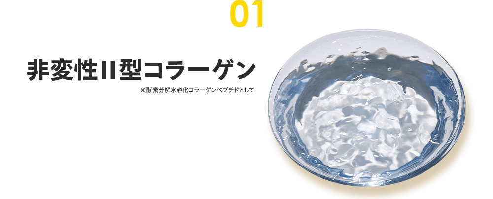 01 非変性Ⅱ型コラーゲン ※酵素分解水溶化コラーゲンペプチドとして