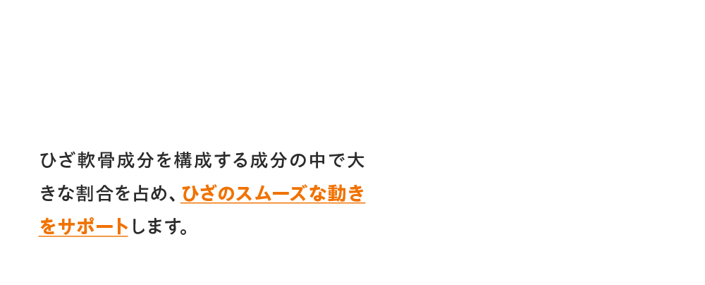 ひざ軟骨成分を構成する成分の中で大きな割合を占め、ひざのスムーズな動きをサポートします。