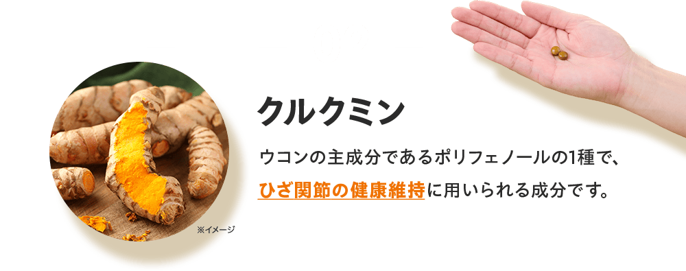 02 クルクミン ウコンの主成分であるポリフェノールの1種で、ひざ関節の健康維持に用いられる成分です。