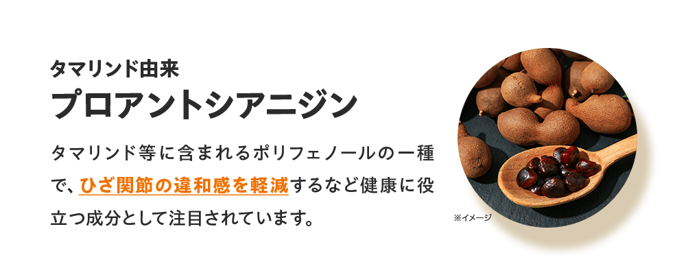 03 タマリンド由来プロアントシアニジン タマリンド等に含まれるポリフェノールの一種で、ひざ関節の違和感を軽減するなど健康に役立つ成分として注目されています。