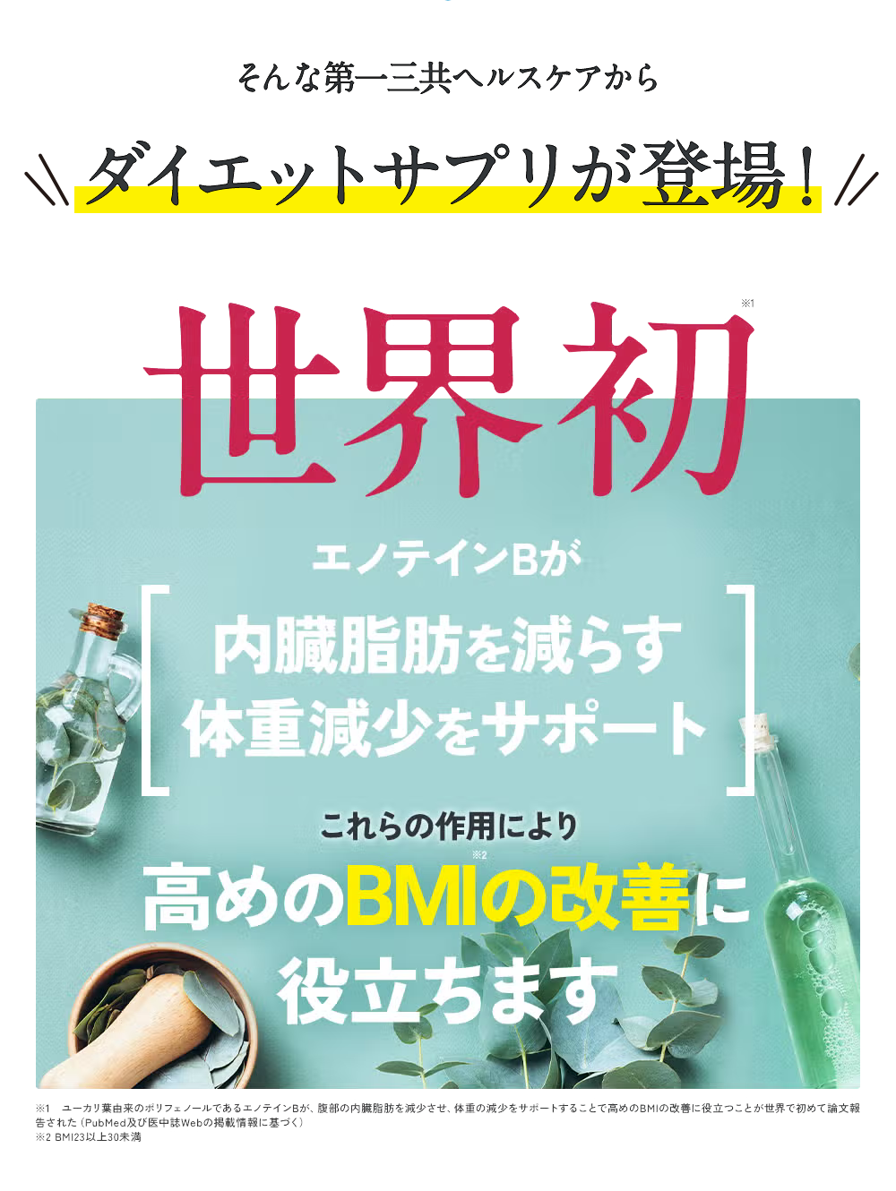 世界初※1 エノテインBが 内臓脂肪を減らす・体重減少をサポート