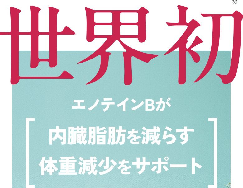第一三共ヘルスケアから新発売！スリムマネージ