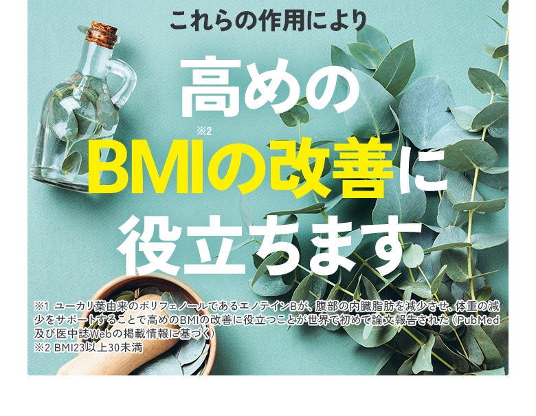 第一三共ヘルスケア - スリムマネージ　2袋 楽天市場】【スリムマネージ】ダイエットサプリ 《機能性表示