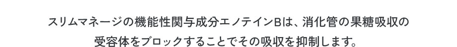 スリムマネージの機能性関与成分エノテインBは、消化管の果糖吸収の受容体をブロックすることでその吸収を抑制します。