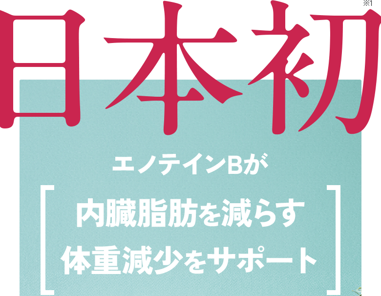 日本初※1 エノテインBが 内臓脂肪を減らす 体重減少をサポート