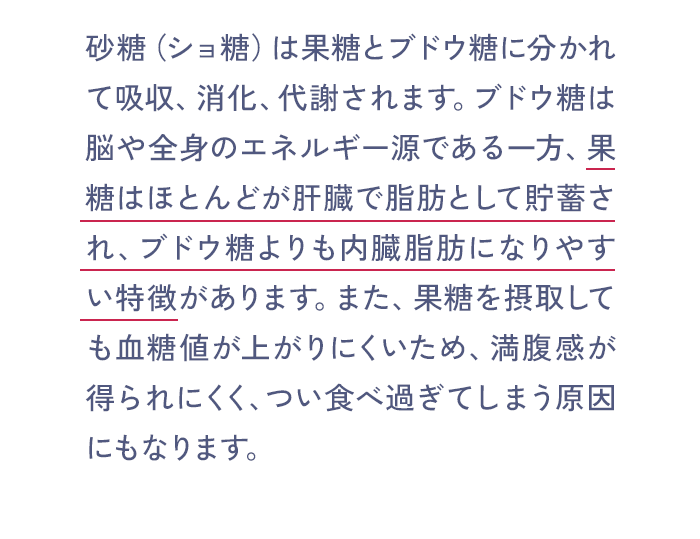 砂糖(ショ糖)は果糖とブドウ糖に分かれて吸収、消化、代謝されます。ブドウ糖は脳や全身のエネルギー源である一方、果糖はほとんどが肝臓で脂肪として貯蓄され、ブドウ糖よりも内臓脂肪になりやすい特徴があります。また、果糖を摂取しても血糖値が上がりにくいため、満腹感が得られにくく、つい食べ過ぎてしまう原因にもなります。