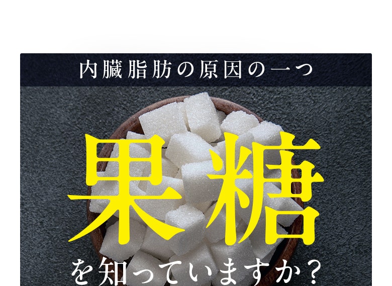 内臓脂肪の原因の一つ 果糖を知っていますか？