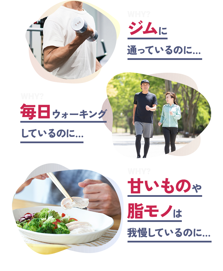 ️WHY？ ジムに通っているのに… WHY？ 毎日ウォーキングしているのに… ️WHY？ 甘いものや脂モノは我慢しているのに…
