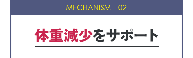 MECHANISM 02:体重減少をサポート