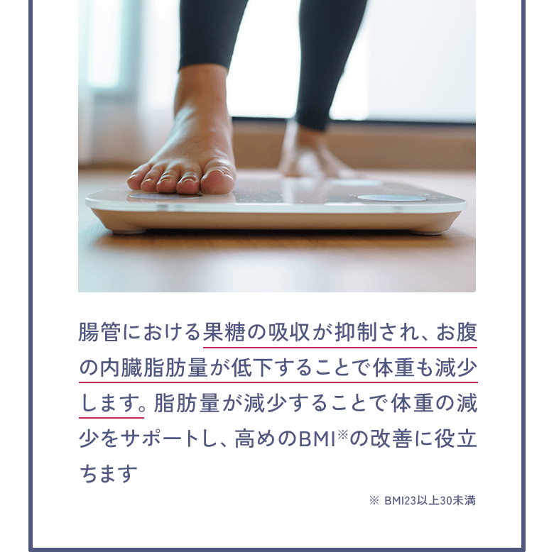 腸管における果糖の吸収が抑制され、お腹の内臓脂肪量が低下することで体重も減少します。脂肪量が減少することで体重の減少をサポートし、高めのBMI※の改善に役立ちます ※ BMI23以上30未満