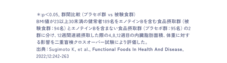 *:p<0.05, 群間比較(プラセボ群 vs 被験食群)BMI値が23以上30未満の健常者189名をエノテインBを含む食品摂取群(被験食群:94名)とエノテインBを含まない食品摂取群(プラセボ群:95名)の2群に分け、12週間連続摂取した際の4,8,12週目の内臓脂肪面積、体重に対する影響を二重盲検クロスオーバー試験により評価した。出典:Sugimoto K, et al., Functional Foods In Health And Disease, 2022;12:242-263