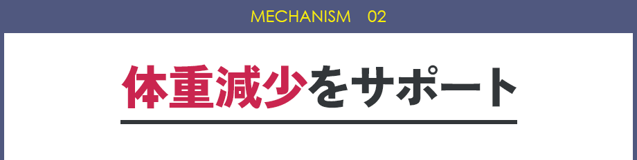 MECHANISM 02：体重減少をサポート