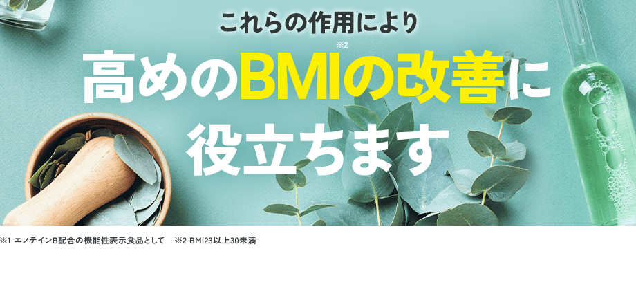 これらの作用により 高めのBMI※2の改善に役立ちます/ ※1 エノテインB配合の機能性表示食品として ※2 BMI23以上30未満