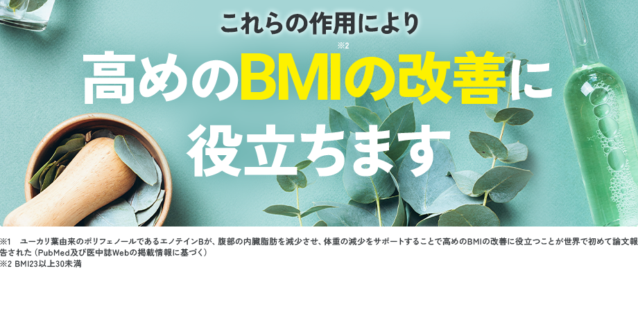 これらの作用により 高めのBMI※2の改善に役立ちます／※1 ユーカリ葉由来のポリフェノールであるエノテインBが、腹部の内臓脂肪を減少させ、体重の減少をサポートすることで高めのBMIの改善に役立つことが世界で初めて論文報告された（PubMed及び医中誌Webの掲載情報に基づく）※2 BMI23以上30未満