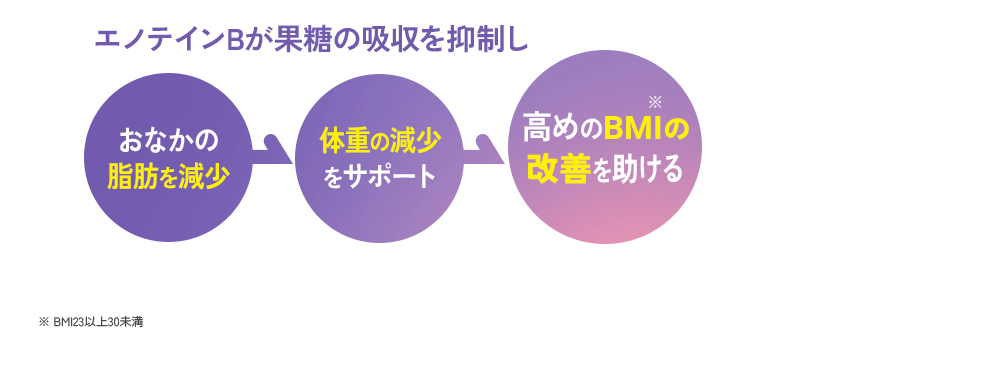 エノテインBが果糖の吸収を抑制し おなかの脂肪を減少 体重の減少をサポート 高めのBMIの改善を助ける ※BMI23以上30未満