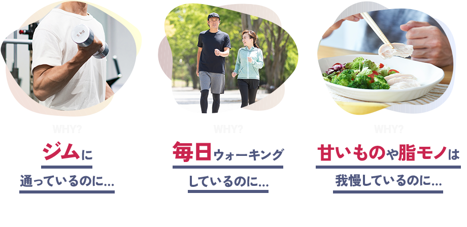 ️WHY？ ジムに通っているのに… WHY？ 毎日ウォーキングしているのに… ️WHY？ 甘いものや脂モノは我慢しているのに…