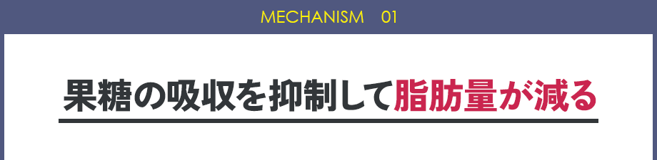 MECHANISM 01：果糖の吸収を抑制して脂肪量が減る